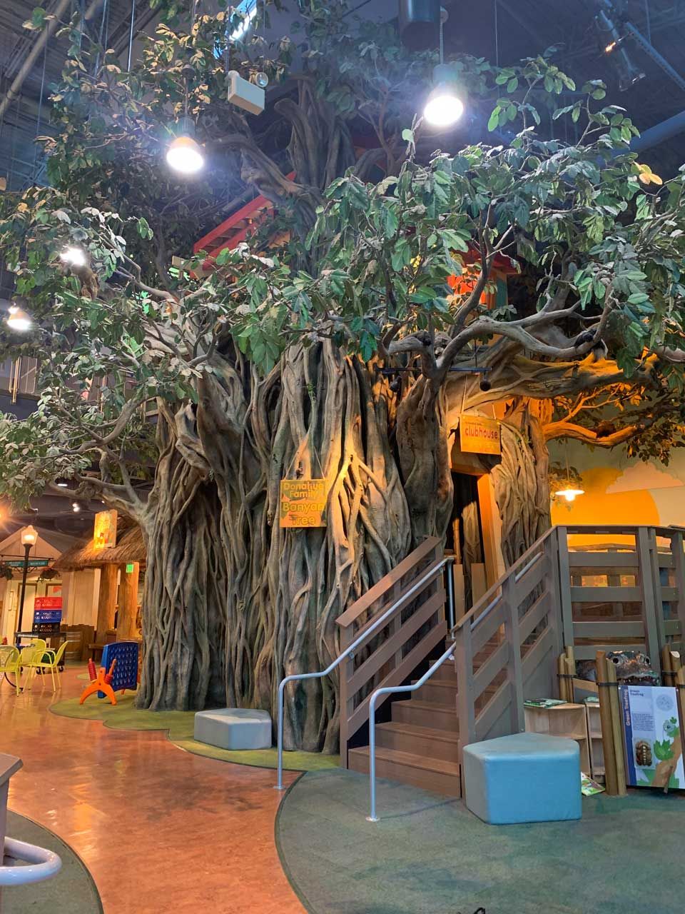 Banyan Tree Exhibit
