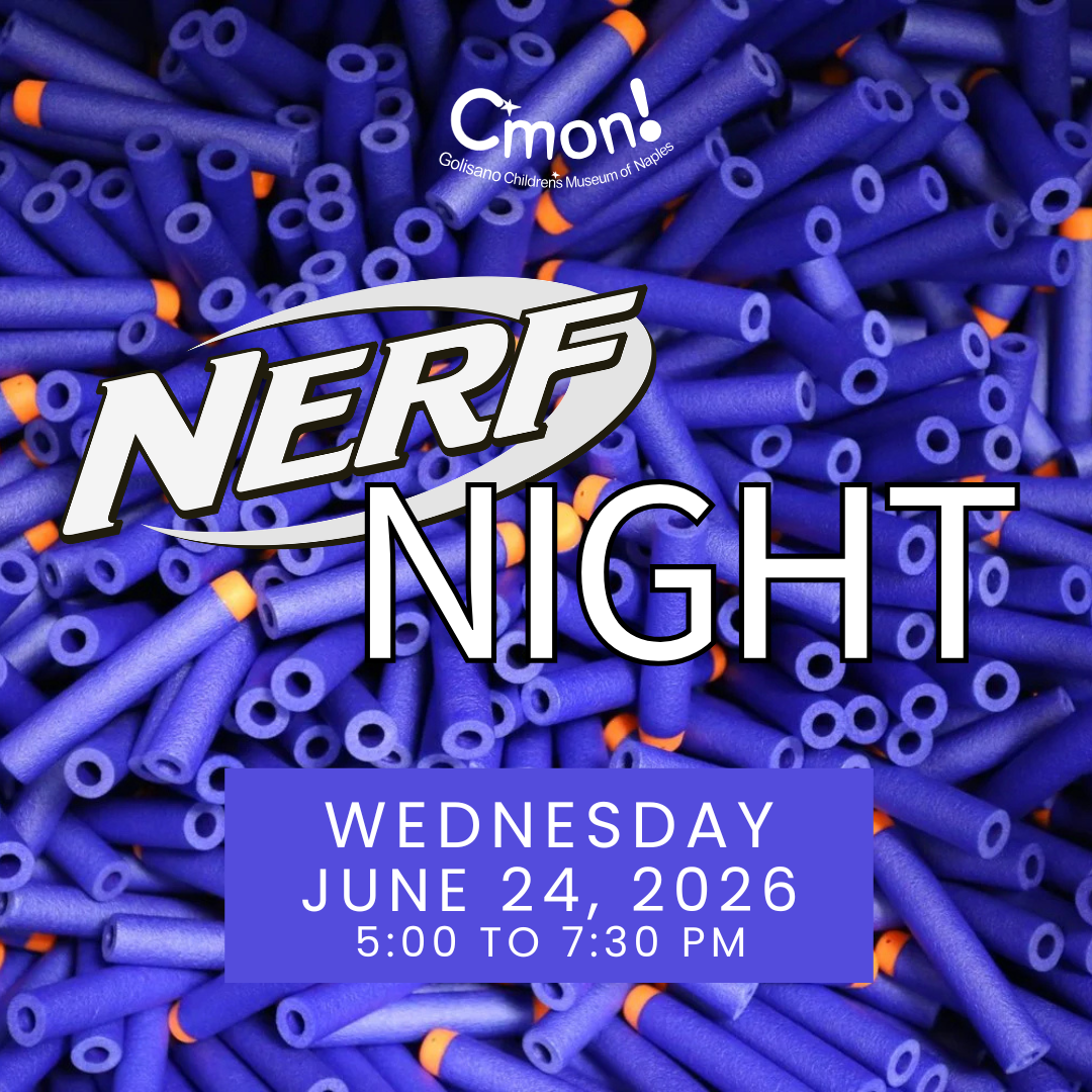 Nerf Night