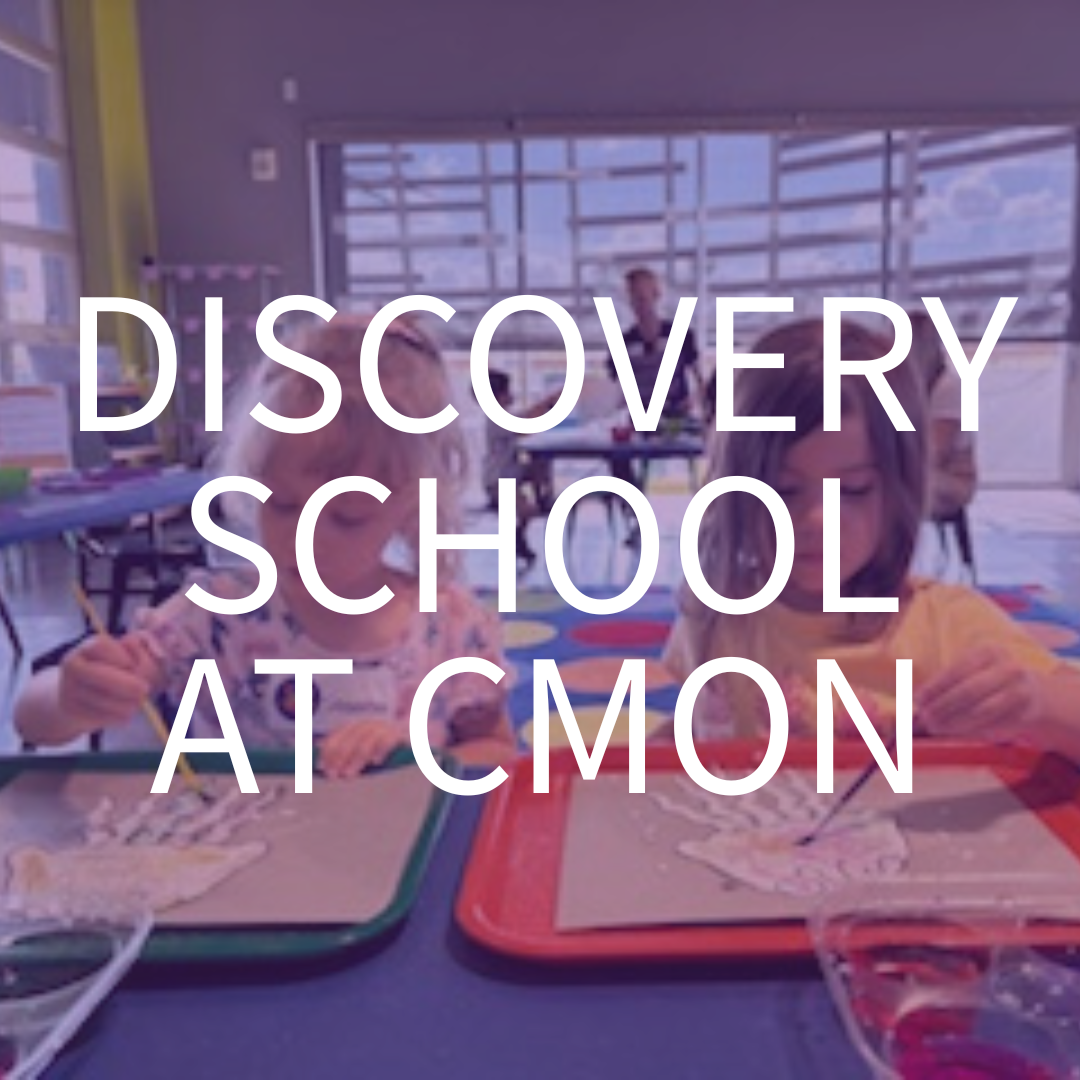 DISCOVERY SCHOOL