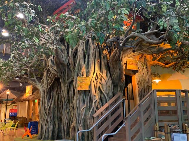 Banyan Tree Exhibit