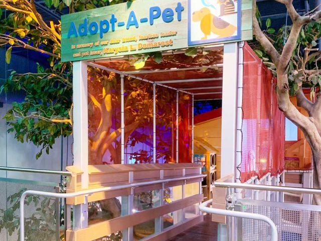 Adopt-a-Pet Exhibit