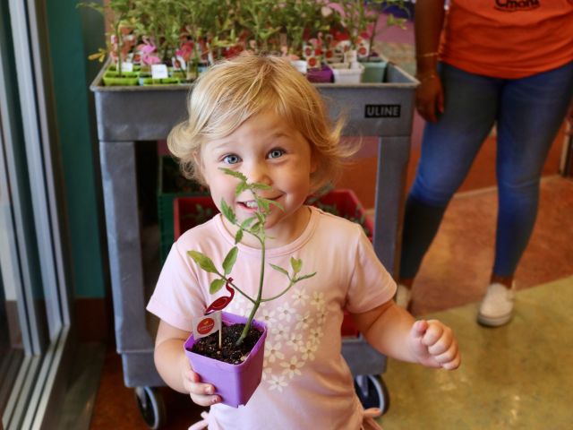 Girl with pink stethoscope