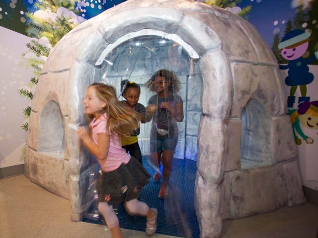 Mother Nature's House Exhibit